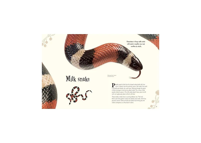 An Anthology of Intriguing Animals by Dk
