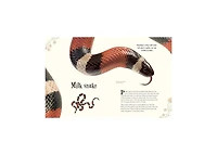An Anthology of Intriguing Animals by Dk