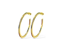 Rainbow Hoop Earrings