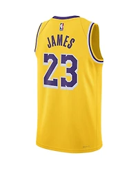 Men's and Women's Nike LeBron James Los Angeles Lakers Swingman Jersey