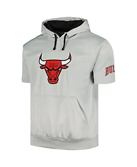 Men's Fanatics Silver, Black Chicago Bulls Short Sleeve Pullover Hoodie