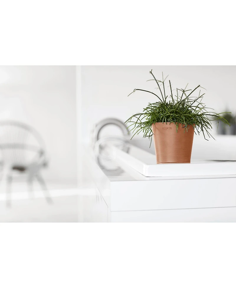 Ecopots Amsterdam Modern Round Indoor and Outdoor Planter