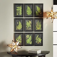 Framed Fern Botanical Prints Set of 9