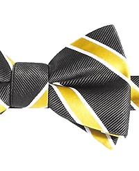 Tayion Collection Men's Black & Gold Stripe Bow Tie