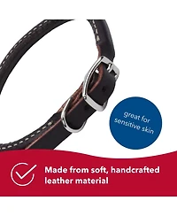 Coastal Pet Circle T by Latigo Leather Twist Dog Leash with Brass Hardware (6') & Latigo Leather Round Dog Collar (3/8" x 18")