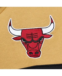 Men's Mitchell & Ness Red, Gold Chicago Bulls Head Coach Pullover Hoodie