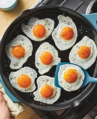 Rachael Ray Nitro Cast Iron 14" Skillet with Side Handles