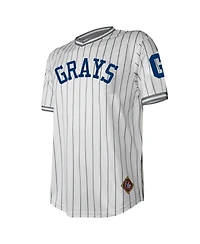 Men's Stitches White Distressed Homestead Grays V-Neck Jersey