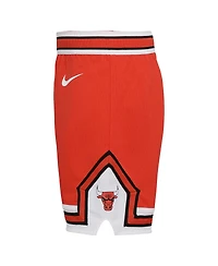Little Boys and Girls Nike Red Chicago Bulls Icon Replica Shorts