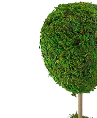 Northlight 14" Reindeer Moss Ball Potted Artificial Spring Topiary Tree