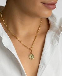 Adornia Tarnish Resistant 14K Gold Plated Pave Crystal Initial Disc Paperclip Necklace