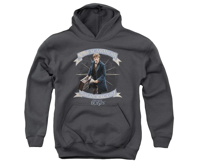 Fantastic Beasts Youth Newt Scamander Pull Over Hoodie / Hooded Sweatshirt