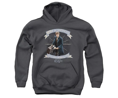 Fantastic Beasts Youth Newt Scamander Pull Over Hoodie / Hooded Sweatshirt