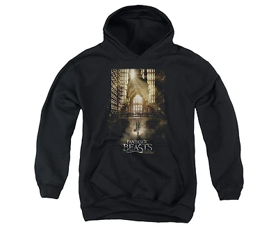 Fantastic Beasts Youth Poster Pull Over Hoodie / Hooded Sweatshirt