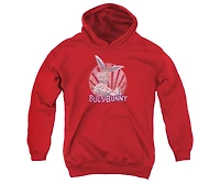 Looney Tunes Youth Wishful Thinking Pull Over Hoodie / Hooded Sweatshirt