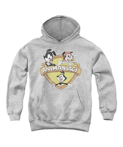 Animaniacs Youth Shielded Pull Over Hoodie / Hooded Sweatshirt