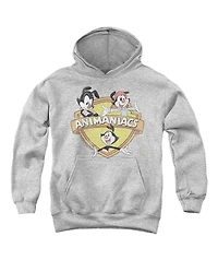 Animaniacs Youth Shielded Pull Over Hoodie / Hooded Sweatshirt