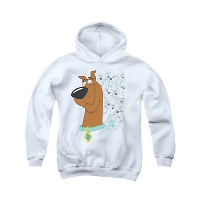 Scooby Doo Youth Evolution Of Pull Over Hoodie / Hooded Sweatshirt