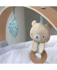 Cozy Spot Soothing Bouncer