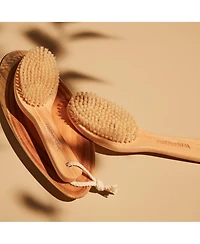 Exclusive Dry Brush