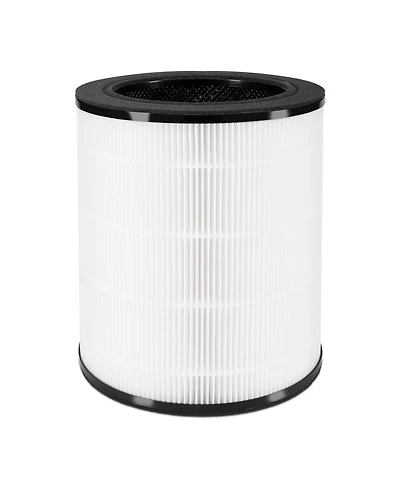 Homedics TotalClean Replacement Filter for Homedics, Ap-T20