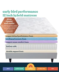 Corsicana Early Bird 12" Medium Mattress