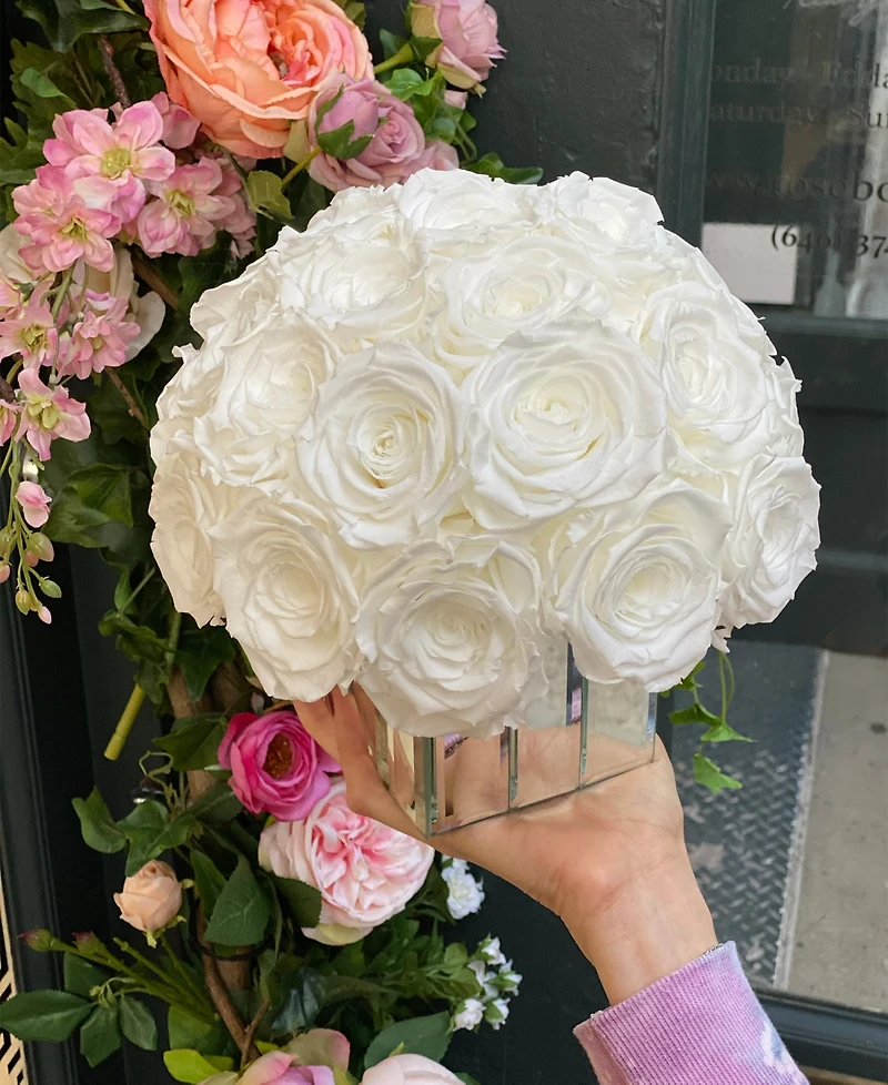 Rose Box Nyc Half Ball of Pure White Long Lasting Preserved Real Roses in Mini Modern Vase, 25-27 Roses