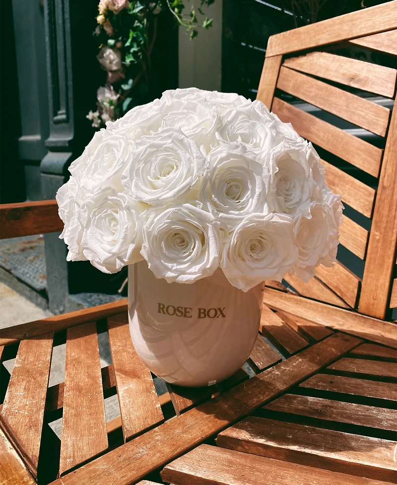 Rose Box Nyc Half Ball of Pure White Long Lasting Preserved Real Roses in Classic Ceramic Vase, 35 Roses