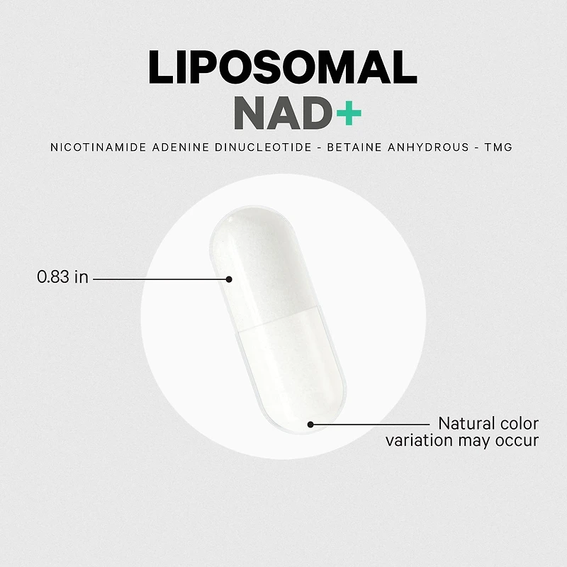 Codeage Liposomal Nad+ Supplement - Nad Nicotinamide Adenine Dinucleotide Coenzyme Pills - 500 mg Nad+ Per Serving & Betaine Anhydrous
