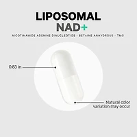 Codeage Liposomal Nad+ Supplement - Nad Nicotinamide Adenine Dinucleotide Coenzyme Pills - 500 mg Nad+ Per Serving & Betaine Anhydrous