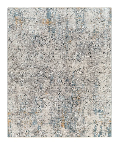 Livabliss Cardiff Cdf-2300 2'x3' Area Rug