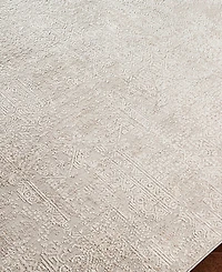 Livabliss Carmel Crl-2300 2'7x4' Area Rug