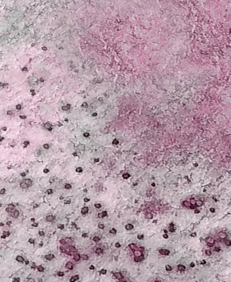 Addison Chantille Machine Washable ACN505 2'6x3'10 Area Rug