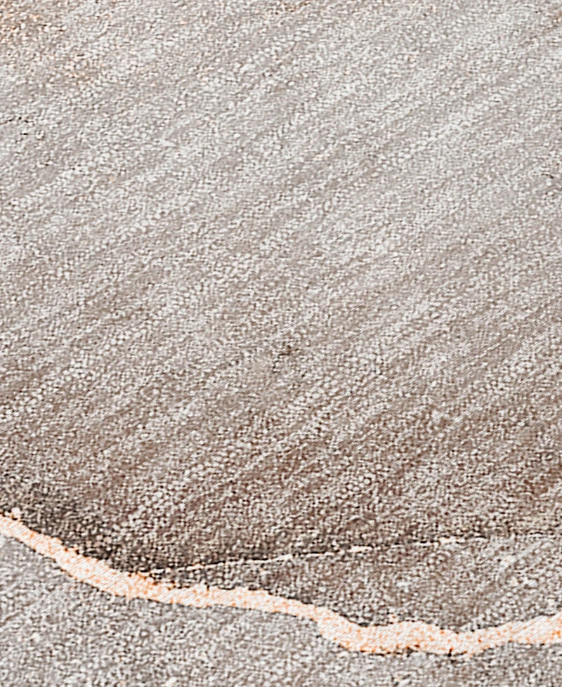 Addison Chantille Machine Washable ACN508 2'6x3'10 Area Rug