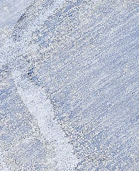 Addison Chantille Machine Washable ACN510 3'x5' Area Rug