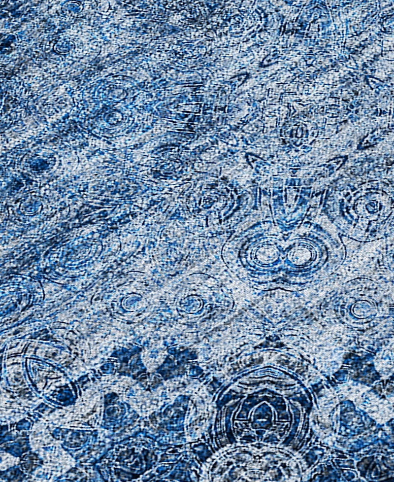 Addison Chantille Machine Washable ACN557 2'6x3'10 Area Rug