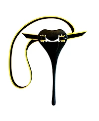 Finis Posture Trainer Head Alignment Swim Training Tool