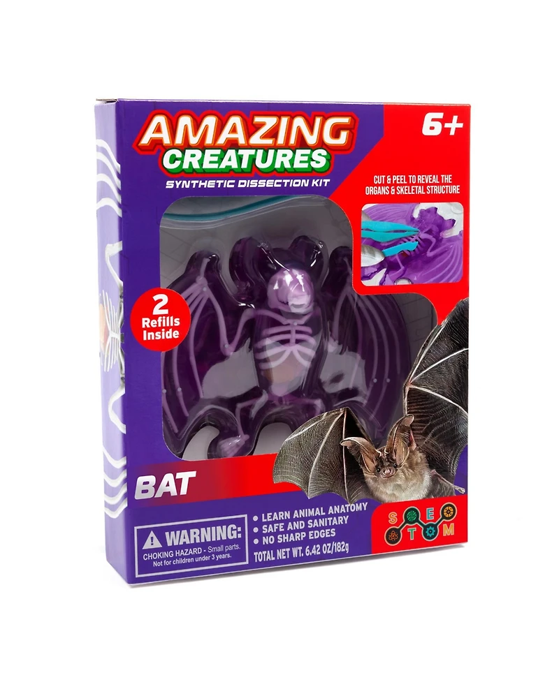 World Tech Toys Amazing Creatures Synthetic Dissection Kit - Bat