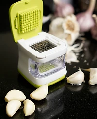 Rsvp International 5 Piece Plastic and Stainless Steel 2.8x2.8" Garlic Cube