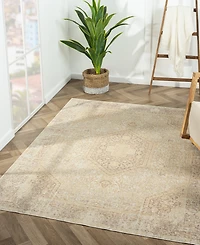 Lr Home Anna Ari-421 5'3"x7' Area Rug