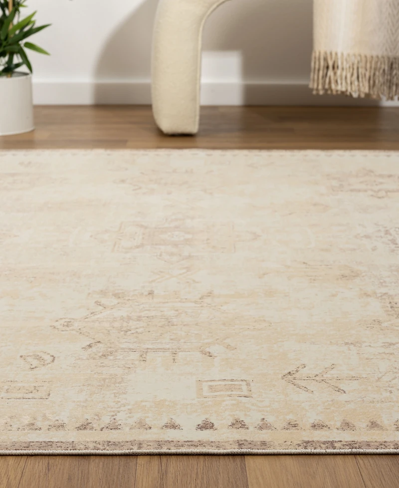 Lr Home Anna Ari-423 5'3"x7' Area Rug