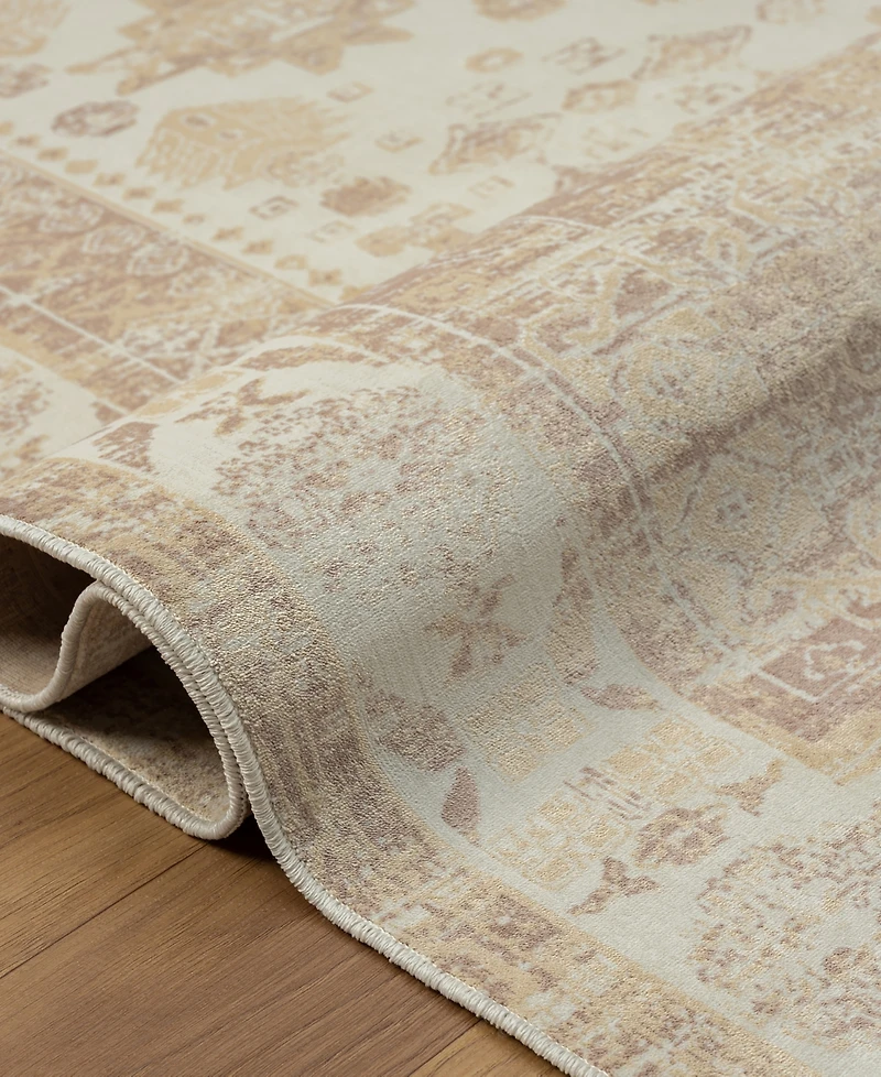 Lr Home Anna Ari-425 5'3"x7' Area Rug