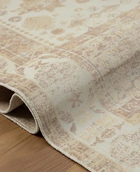 Lr Home Anna Ari-425 5'3"x7' Area Rug
