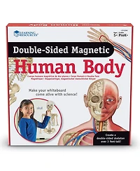 Learning Resources Double-Sided Magnetic Human Body
