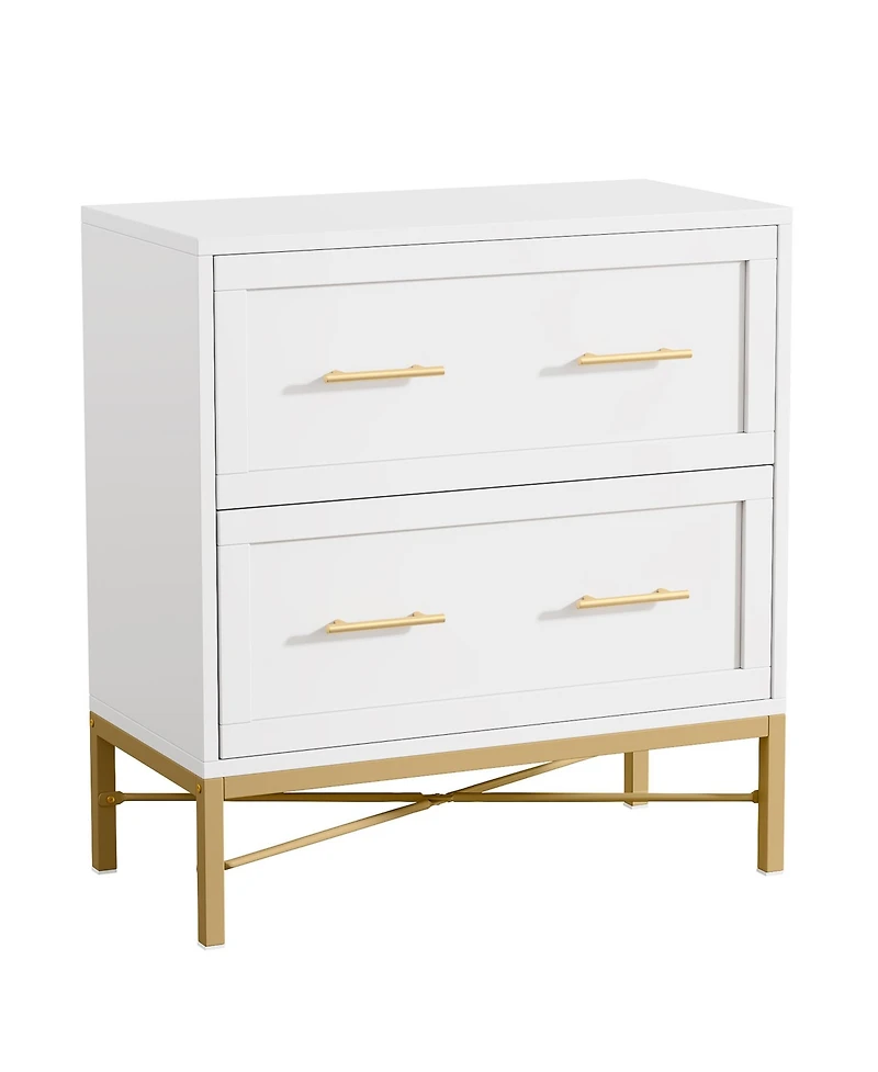Tribesigns 2 Drawer File Cabinet, Modern Lateral Filing Cabinet for Letter/Legal/A4 Size, Large File Storage Cabinets Printer Stand with Storage