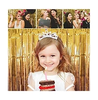 4-Pack Curtain Photo Booth Backdrop Streamers Party Decorations