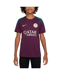 Nike Big Boy's and Girl's Burgundy Paris Saint-Germain 2024/25 Strike Training Performance Top