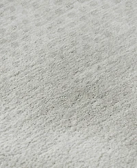 Dalyn Trevi Washable TV4 10'x14' Area Rug