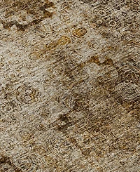 Dalyn Trevi Washable TV16 9'x12' Area Rug