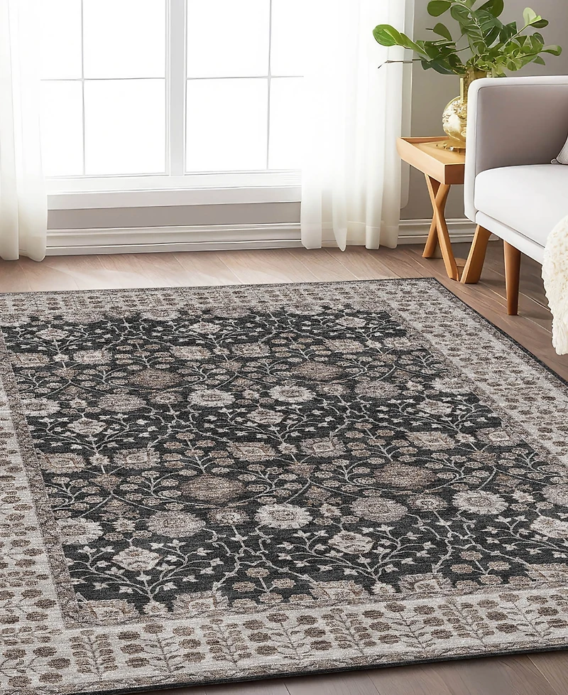 Dalyn Hatay Washable HY8 3'x5' Area Rug